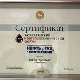 Диплом Татарстанского нефтегазохимического форума-2013